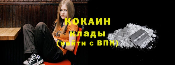 ПСИЛОЦИБИНОВЫЕ ГРИБЫ Верхний Тагил