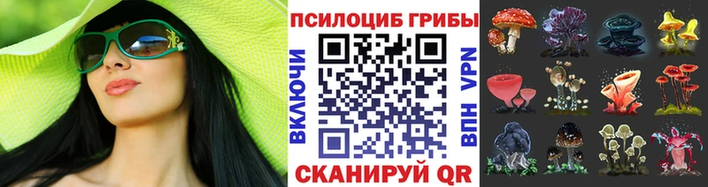 Псилоцибиновые грибы MAGIC MUSHROOMS  Пласт 